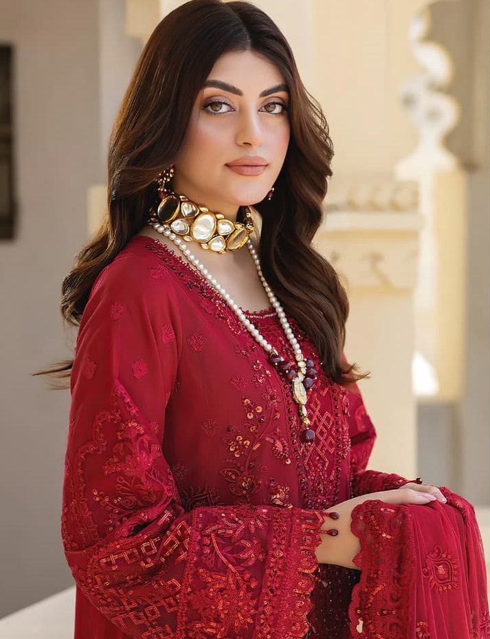 ALK 6014 DESIGNER SALWAR SUIT WHOLESALER IN INDIA ALK